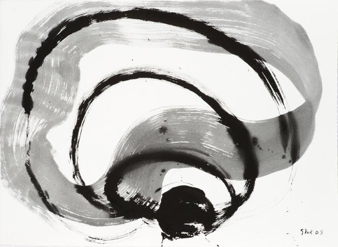 4-2008 ondulant 57x76 chf 2400.jpg